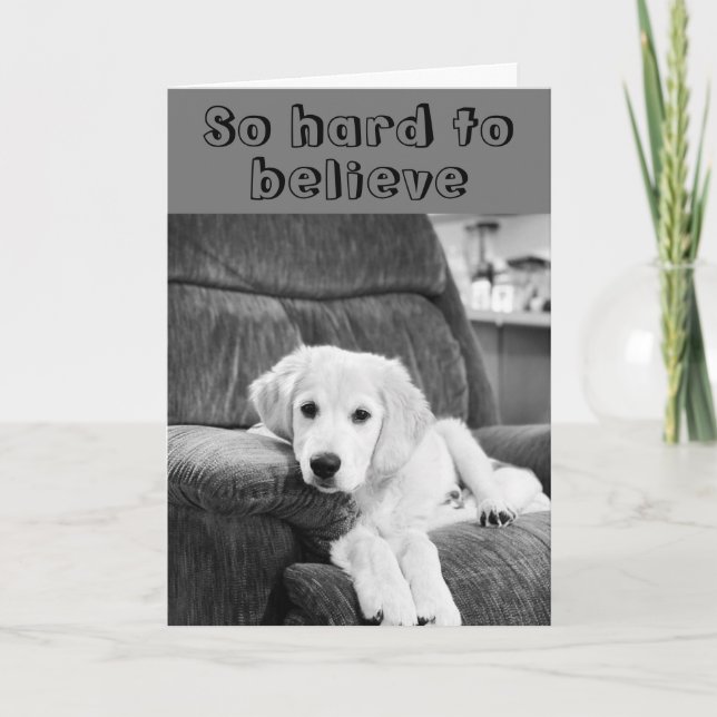 Carte HEUREUX ***60ème*** ANNIVERSAIRE DE CUTE PUP (Devant)