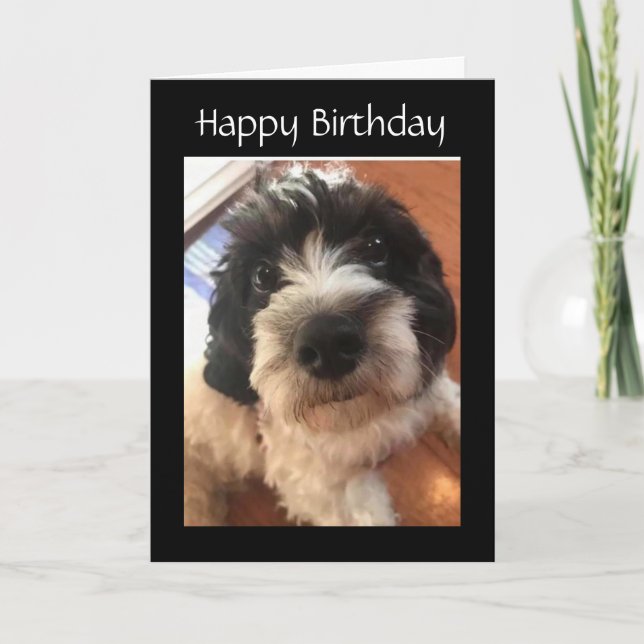 CARTE HEUREUX *ANNIVERSAIRE* VOUS FAITES MON TAIL WAG (Devant)