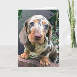 CARTE ***HEUREUX POUR VOUS***/** VOUS MANQUERA AUSSI***