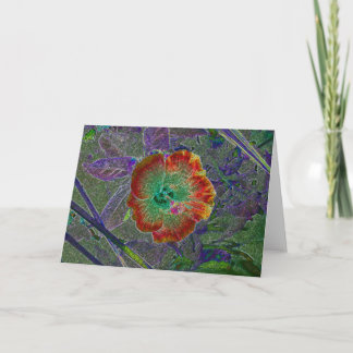 Carte Hibiscus acide