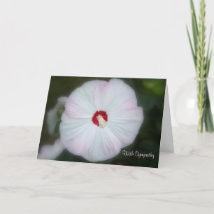 Carte Hibiscus Blush