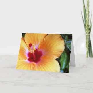 Carte Hibiscus, Jaune-Orange