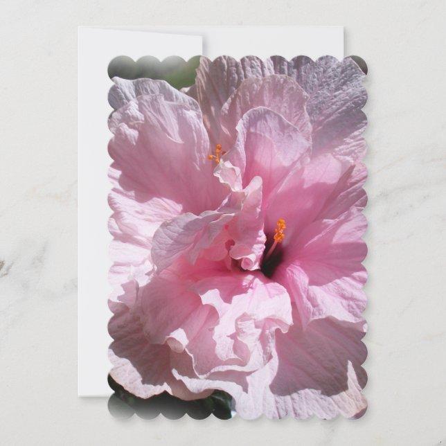 Carte Hibiscus rose (Devant)