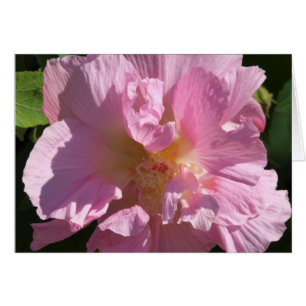 Carte Hibiscus rose 5X7