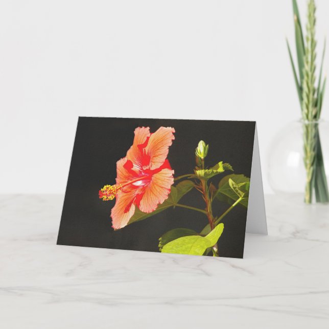 Carte Hibiscus rouge incarné, Fleur de Brenda (Devant)
