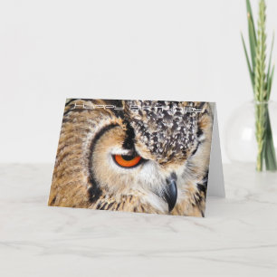 CARTE HIBOU