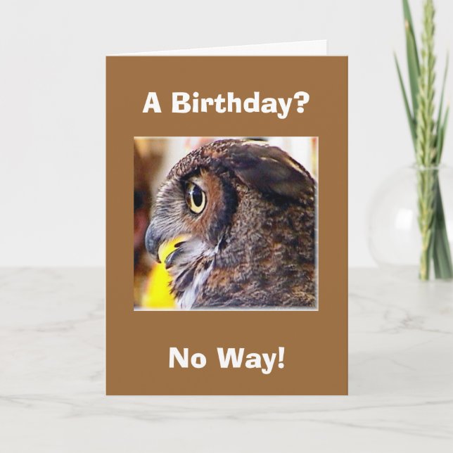 Carte hibou 2, Anniversaire ?, Pas question ! (Devant)
