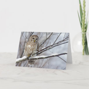 Carte Hibou barré avec chutes de neige légères