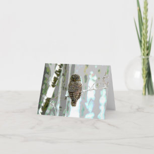 Carte Hibou dans la neige