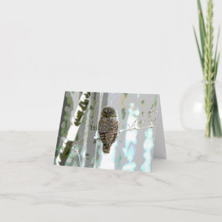 Carte Hibou dans la neige