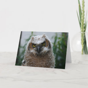 Carte Hibou Grand-À cornes de bébé