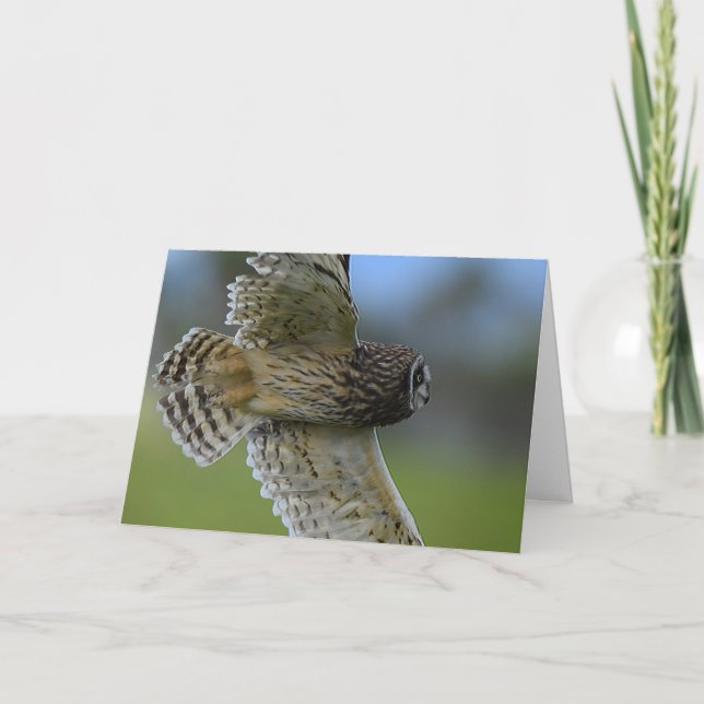 Carte Hibou volant plus de (Devant)