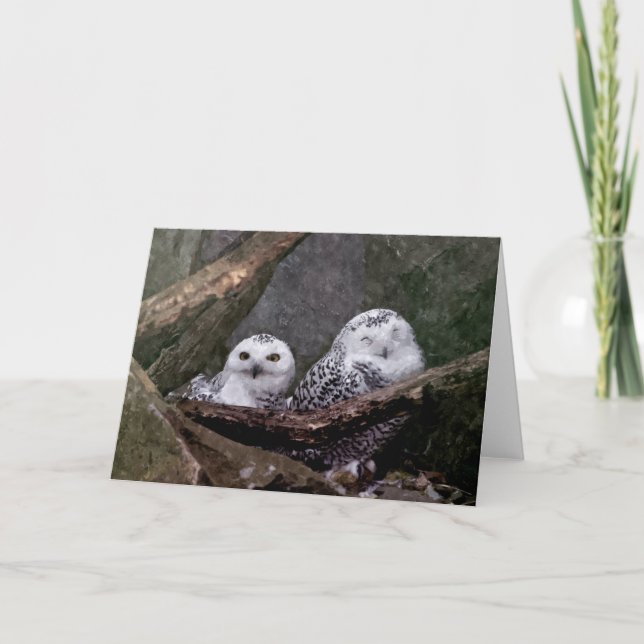 Carte Hiboux mignons (Devant)