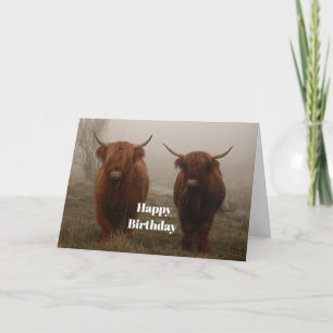 Carte Highland Cattle Fog Photo Anniversaire