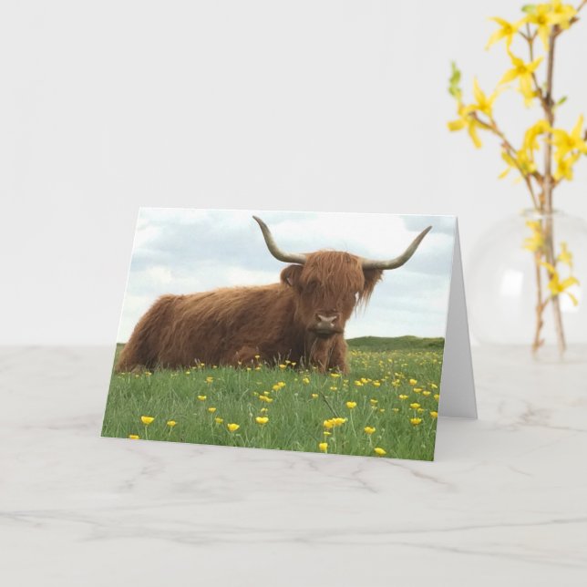 Carte Highland Cow (Fleur jaune)