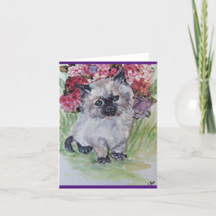 Carte Himalayan Ragdoll Kitten