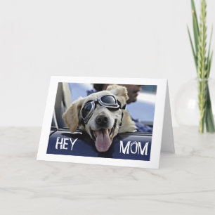 CARTE HIP DOG DIT "HEY MOM" "AVOIR UN JOLI ANNIVERSAIRE"