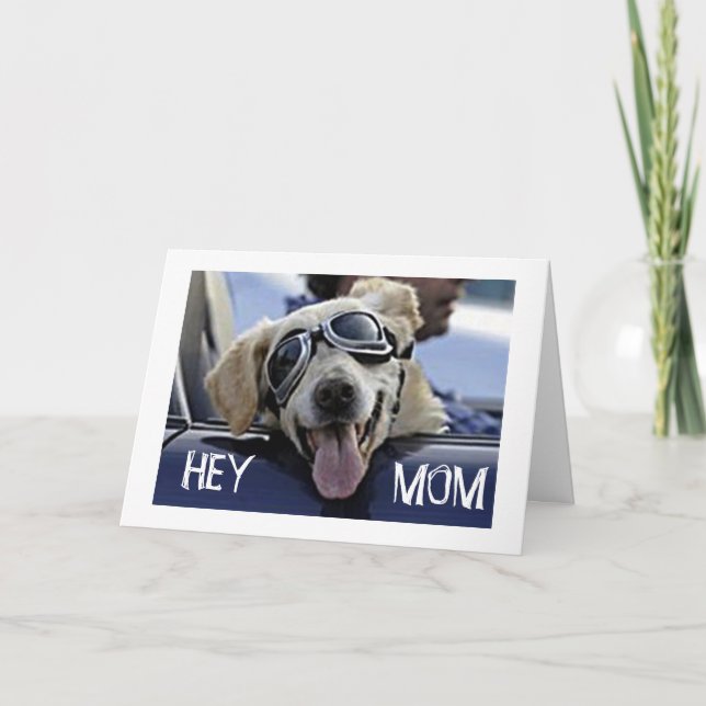 CARTE HIP DOG DIT "HEY MOM" "AVOIR UN JOLI ANNIVERSAIRE" (Devant)