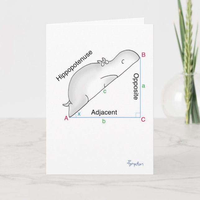 Carte HIPPOPOPOTENUSE par Sandra Boynton (Devant)