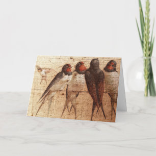 Carte Hirondelles de grange, anniversaire
