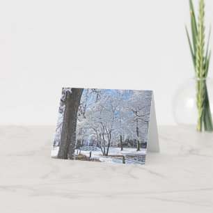 CARTE "HIVER PARK SCENE/PREMIÈRE CHUTE DE NEIGE"
