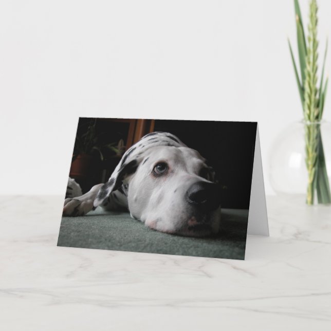 Carte Ho anniversaire de bourdonnement (Devant)