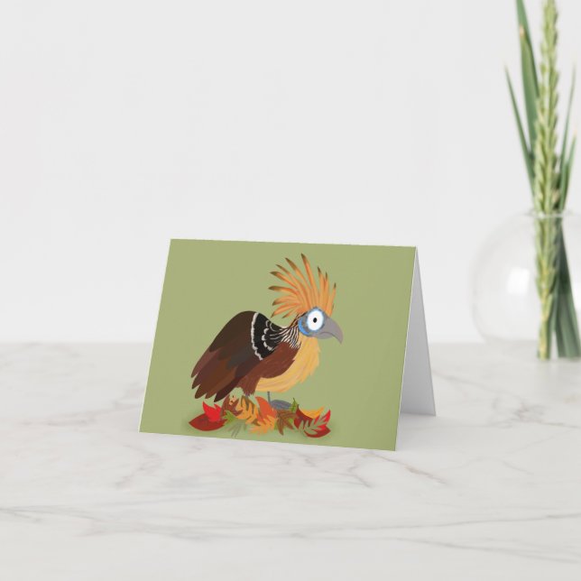Carte Hoatzin (Devant)