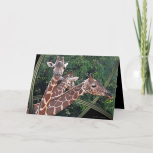 Carte Hoffmans Hawaii