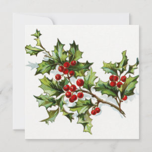 Carte Holly Berries 002