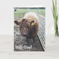 Carte Holy Cow