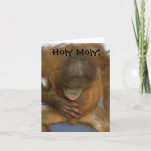 Carte Holy Moly Funny Vasectomy