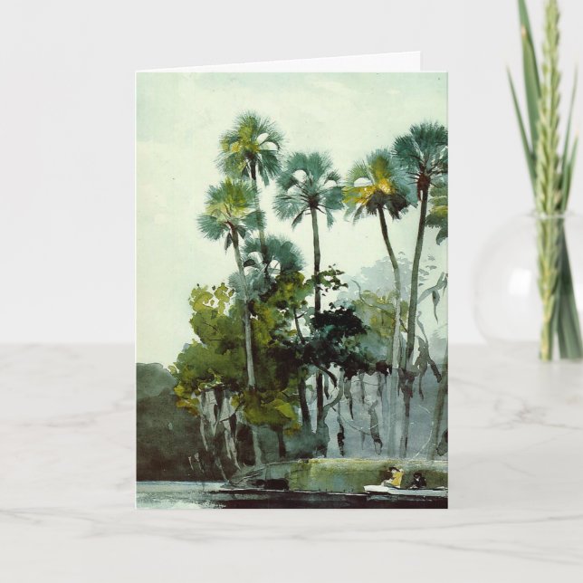 Carte Homer - Homosassa River (Devant)