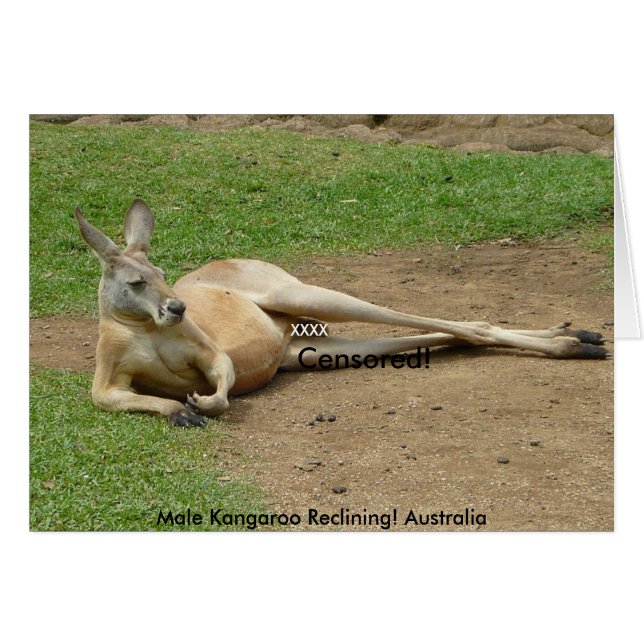 Carte Homme Kangaroo Recligne! Australie (Devant horizontal)