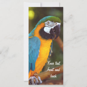 Carte Homme Macaw