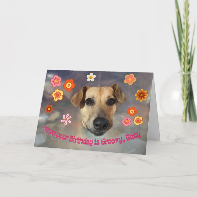 Carte Hope Your Birthday Is Groovy with Funny Dog (Devant)