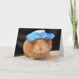 Carte Hoppin' en un rien de temps !