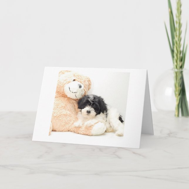 CARTE HORAIRE CUDDLE-***NOUVEAU BÉBÉ*** FÉLICITATIONS (Devant)