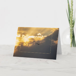 Carte Hors De L'Aigle Soleil Bald Avec Bordure
