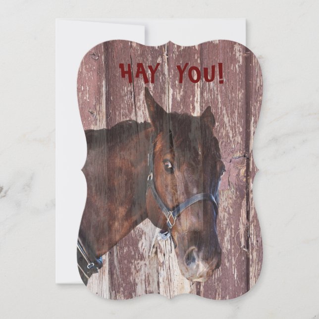 Carte Horse FUN FUNNY vous regarde anniversaire (Devant)