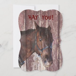 Carte Horse FUN FUNNY vous regarde anniversaire