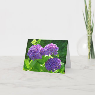 Carte Hortensia 2