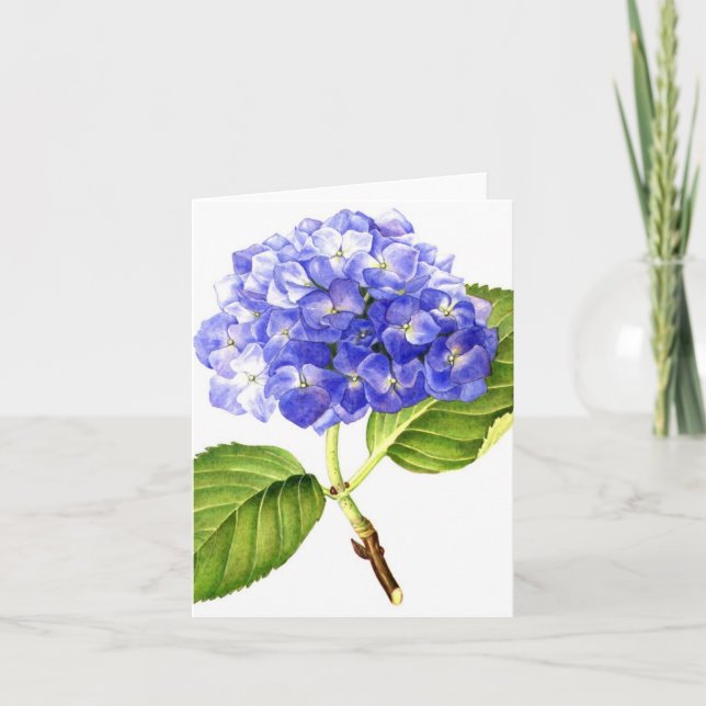 Carte Hortensia bleu (Devant)