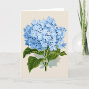 Carte Hortensia bleu vintage
