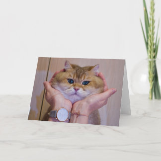Carte Hosico dans les palmiers