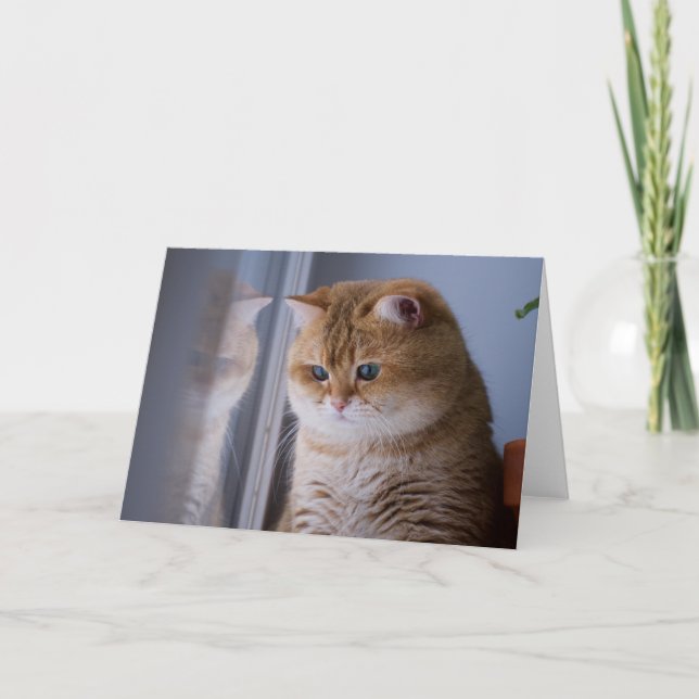 Carte Hosico joues fluffy (Devant)