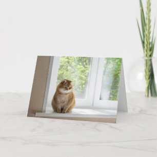 Carte Hosico par la fenêtre