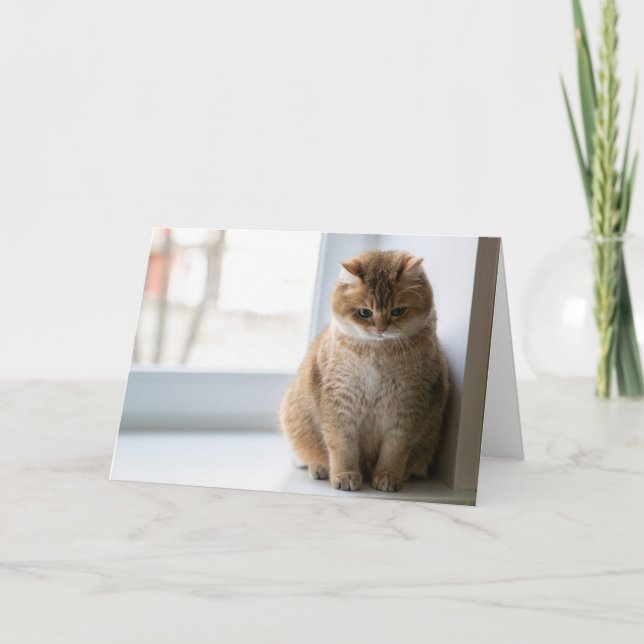 Carte Hosico pensée (Devant)