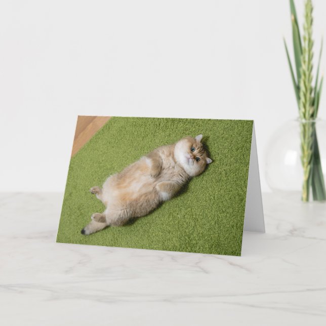 Carte Hosico sur le tapis (Devant)