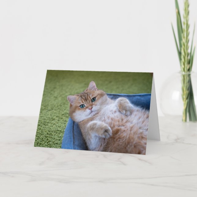 Carte Hosico vous regarde (Devant)