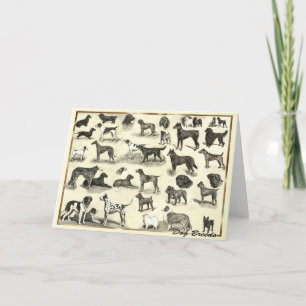 Carte Hounds - Chiens de races pour Amoureux de les chie